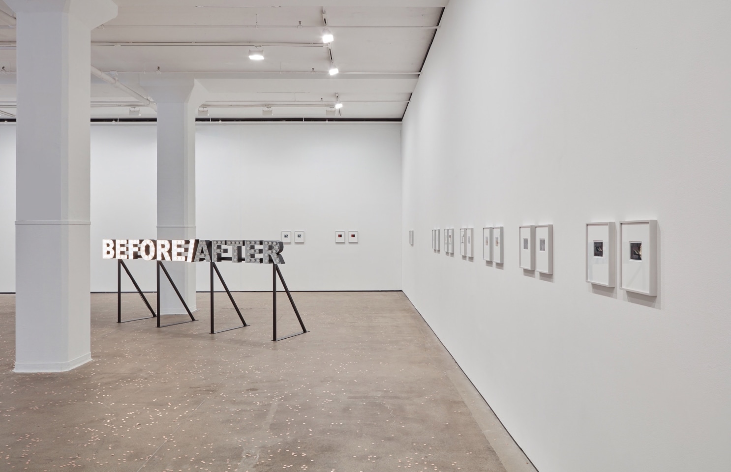 Peter Liversidge Sean Kelly Gallery