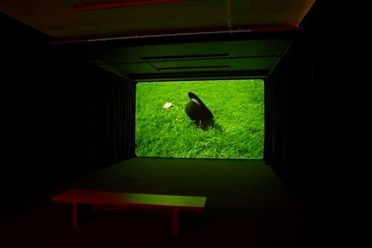 Grasso Grimonprez Koh Sean Kelly Gallery