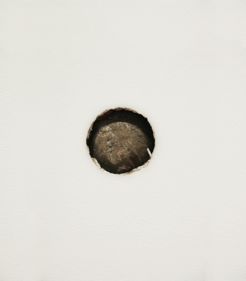 Peter Liversidge Sean Kelly Gallery