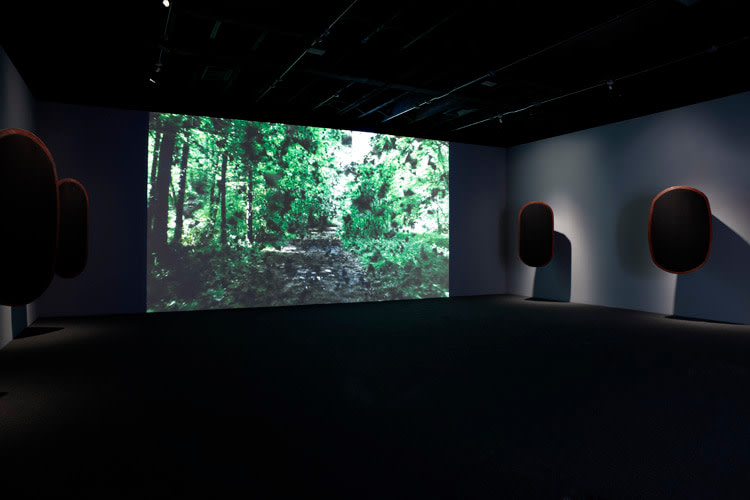 Laurent Grasso Sean Kelly Gallery