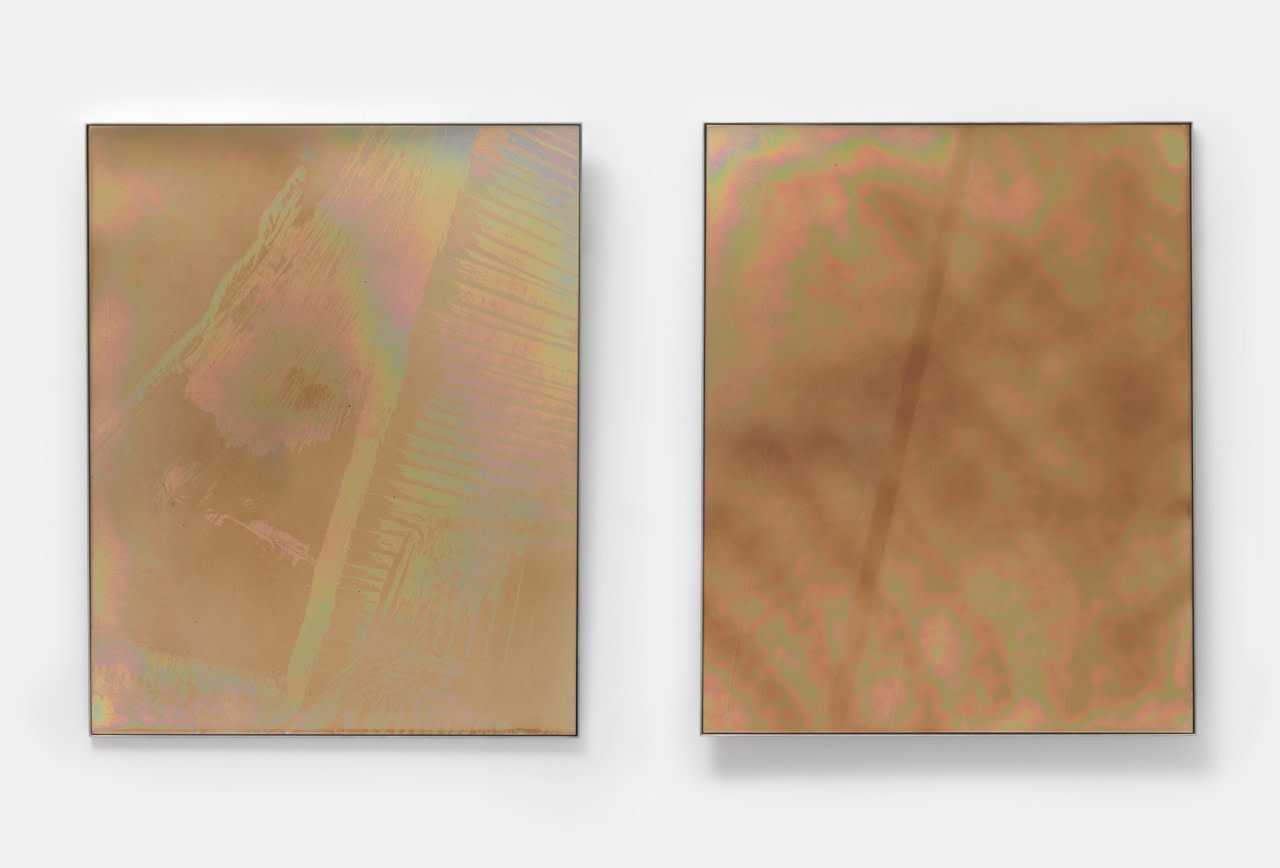 Julian Charriere Sean Kelly