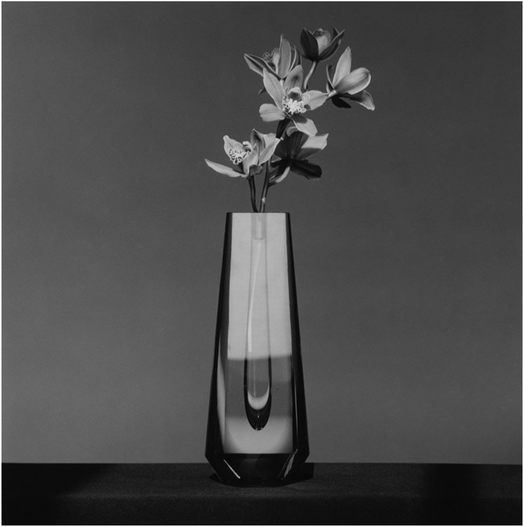 Robert Mapplethorpe