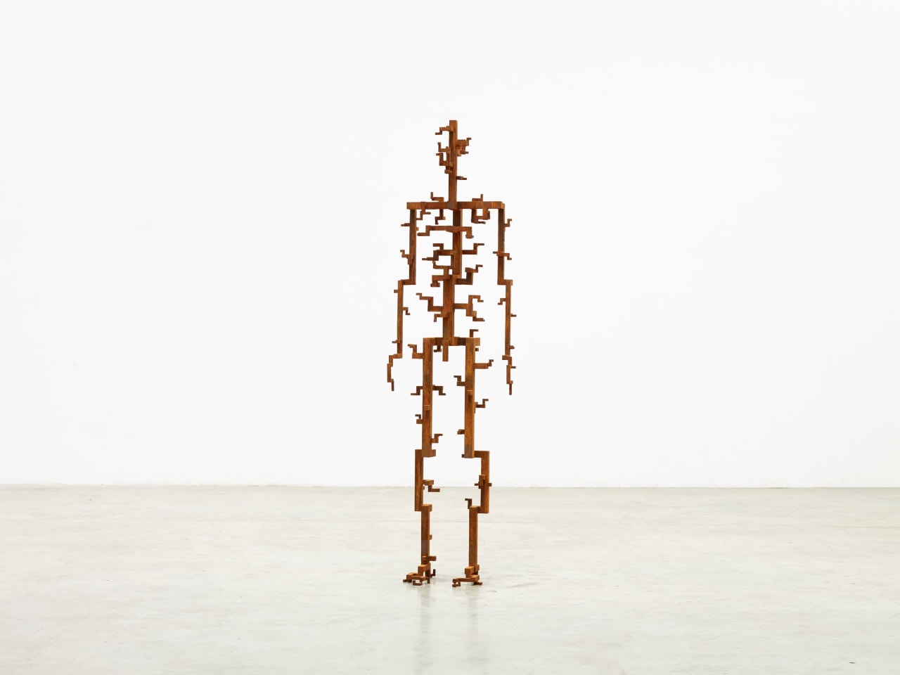 ANTONY GORMLEY, ROD, 2016