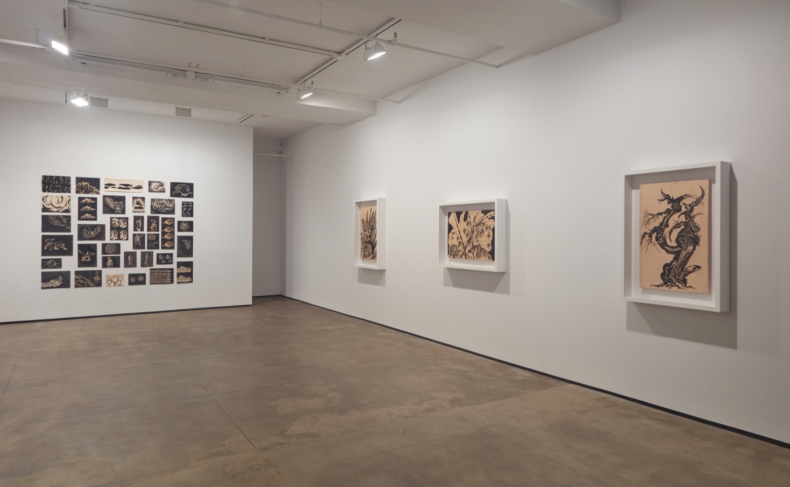 Sun Xun Sean Kelly Gallery