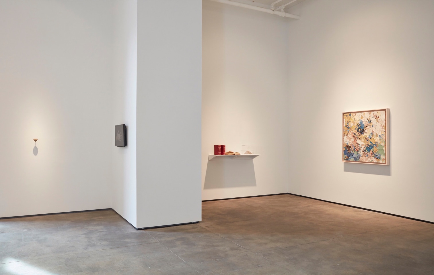 Diana Fonseca Quinones Sean Kelly Gallery