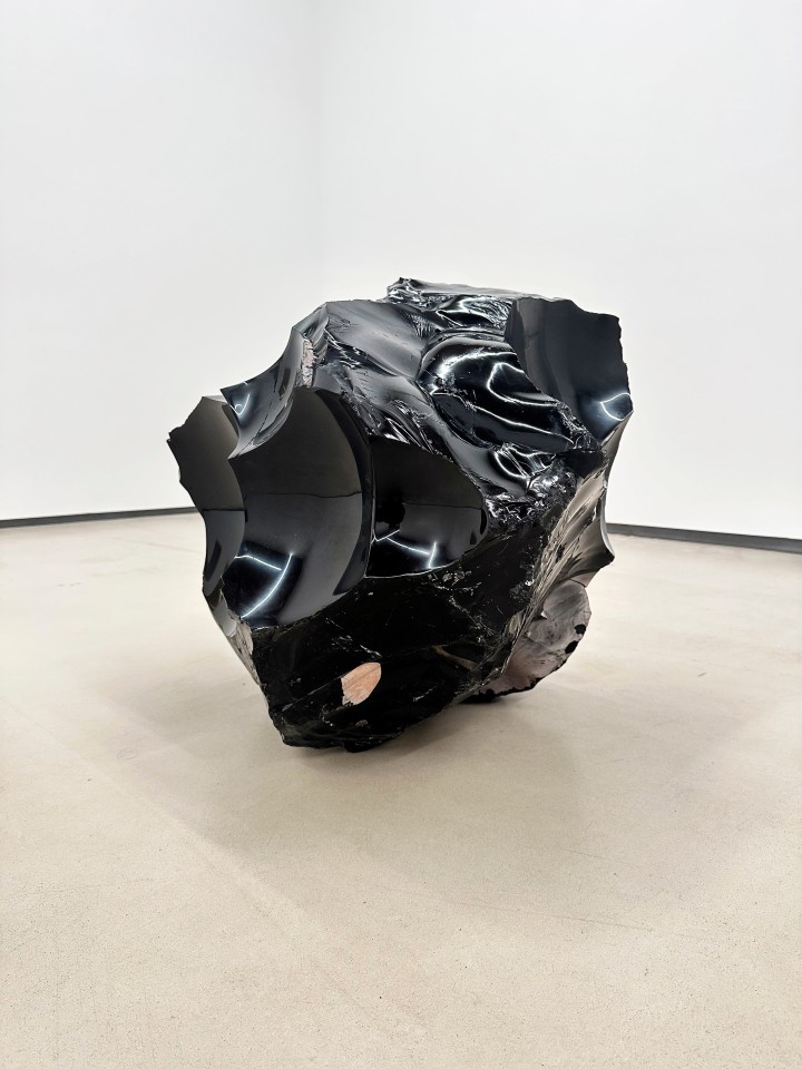 Julian Charri&egrave;re Thickens, pools, flows, rushes, slows, 2020