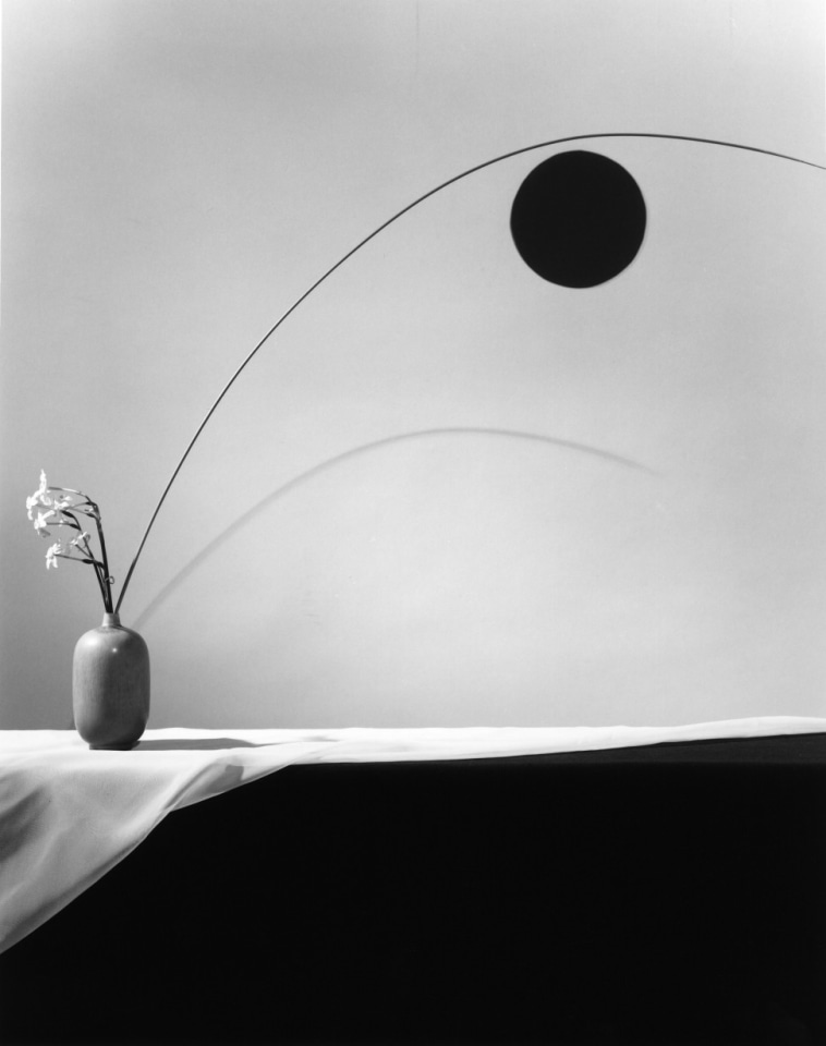 Robert Mapplethorpe Sean Kelly Gallery