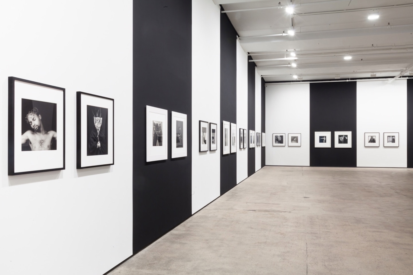 Robert Mapplethorpe Sean Kelly Gallery