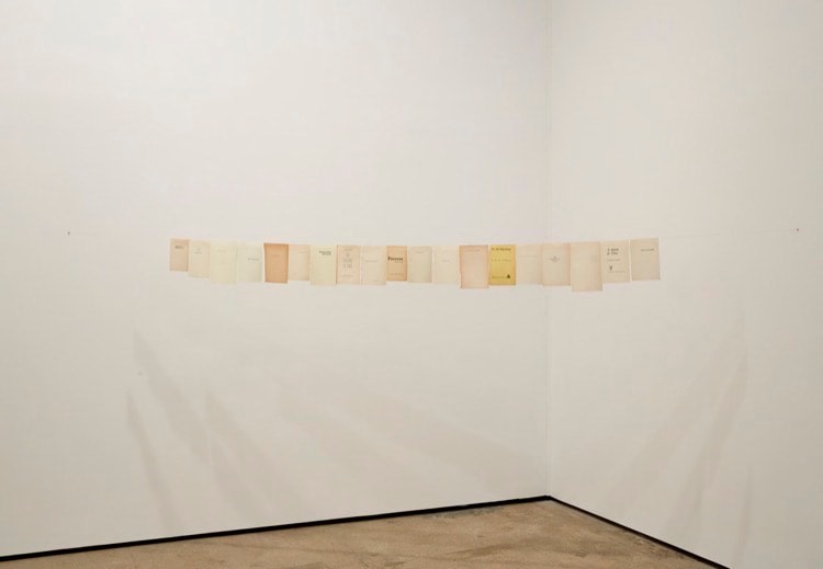 Valeska Soares Sean Kelly Gallery
