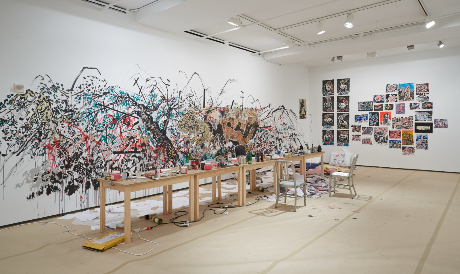 Sun Xun Sean Kelly Gallery