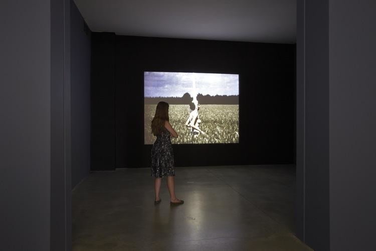 Disruptive Desires Sean Kelly Gallery