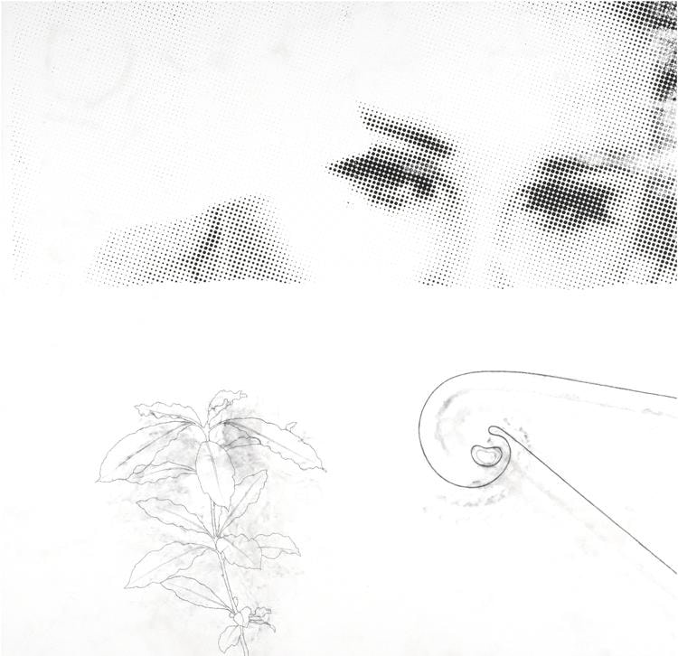 Juliao Sarmento Sean Kelly Gallery