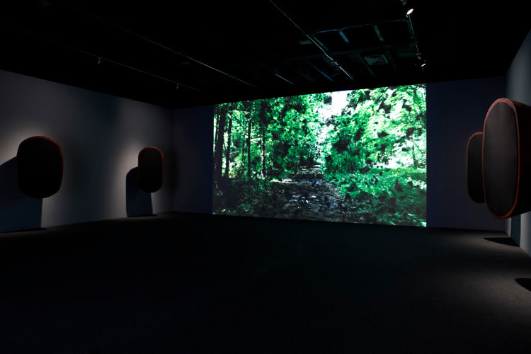 Laurent Grasso Sean Kelly Gallery