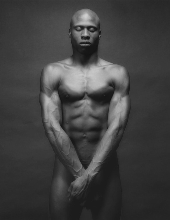 Robert Mapplethorpe Sean Kelly Gallery