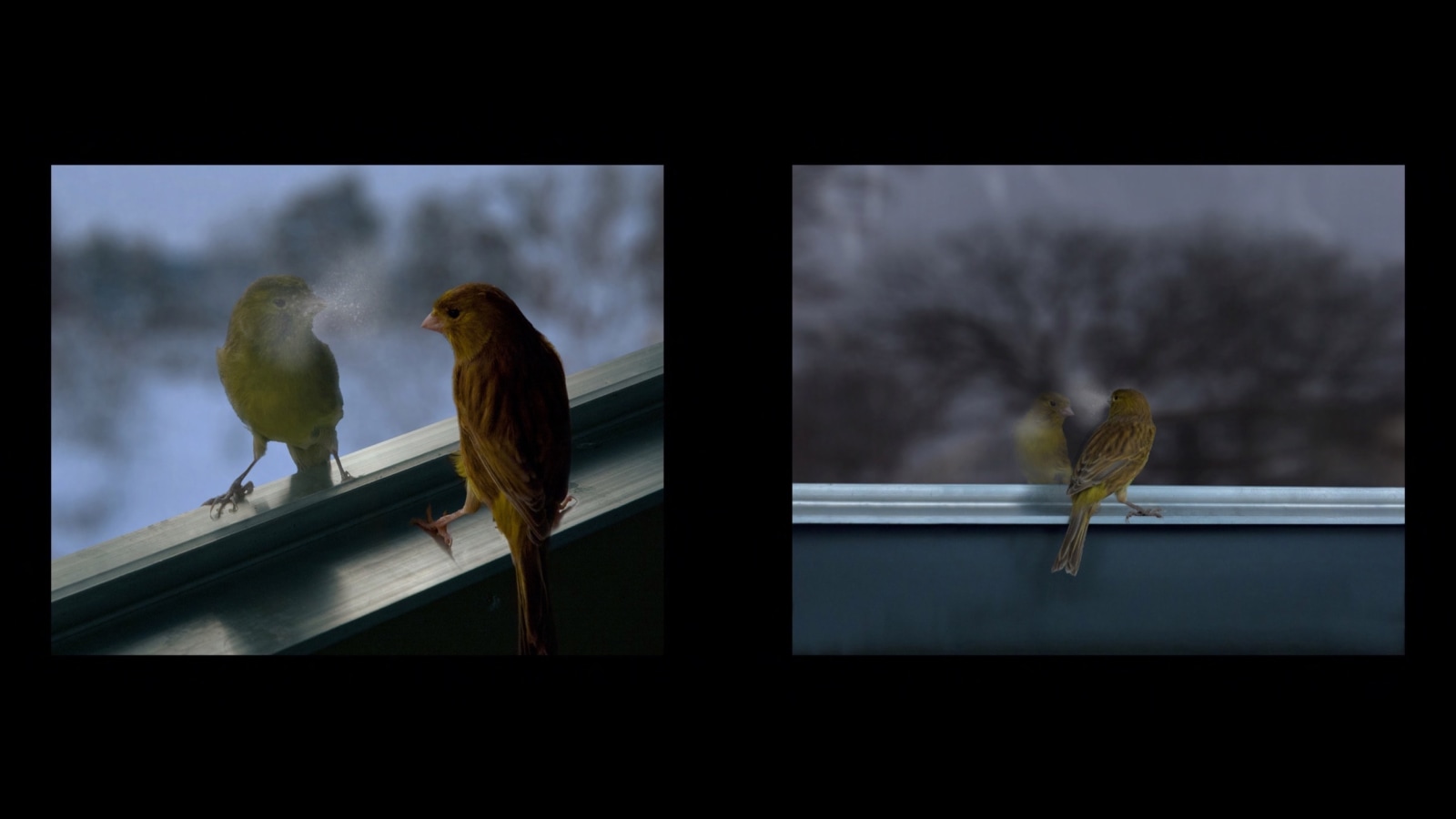  p.p1 {margin: 0.0px 0.0px 0.0px 0.0px; font: 10.0px &#039;Helvetica Neue&#039;}
