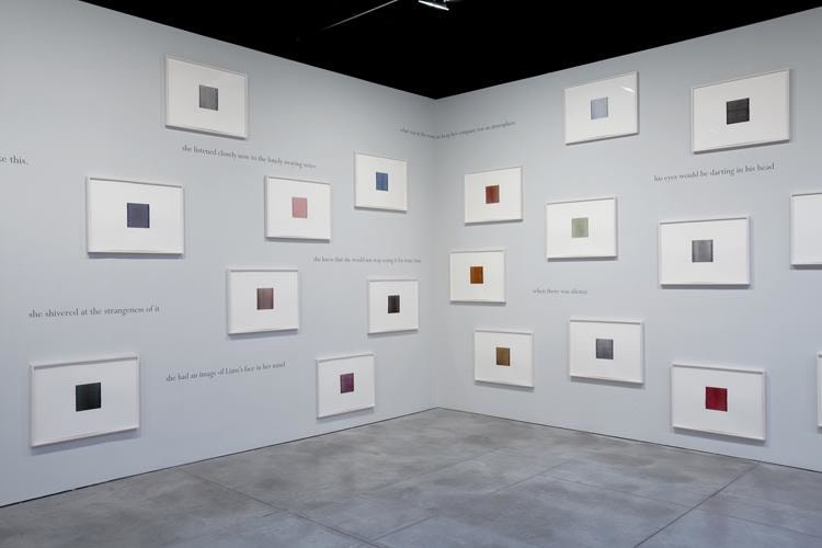 Callum Innes Colm Toibin Sean Kelly Gallery
