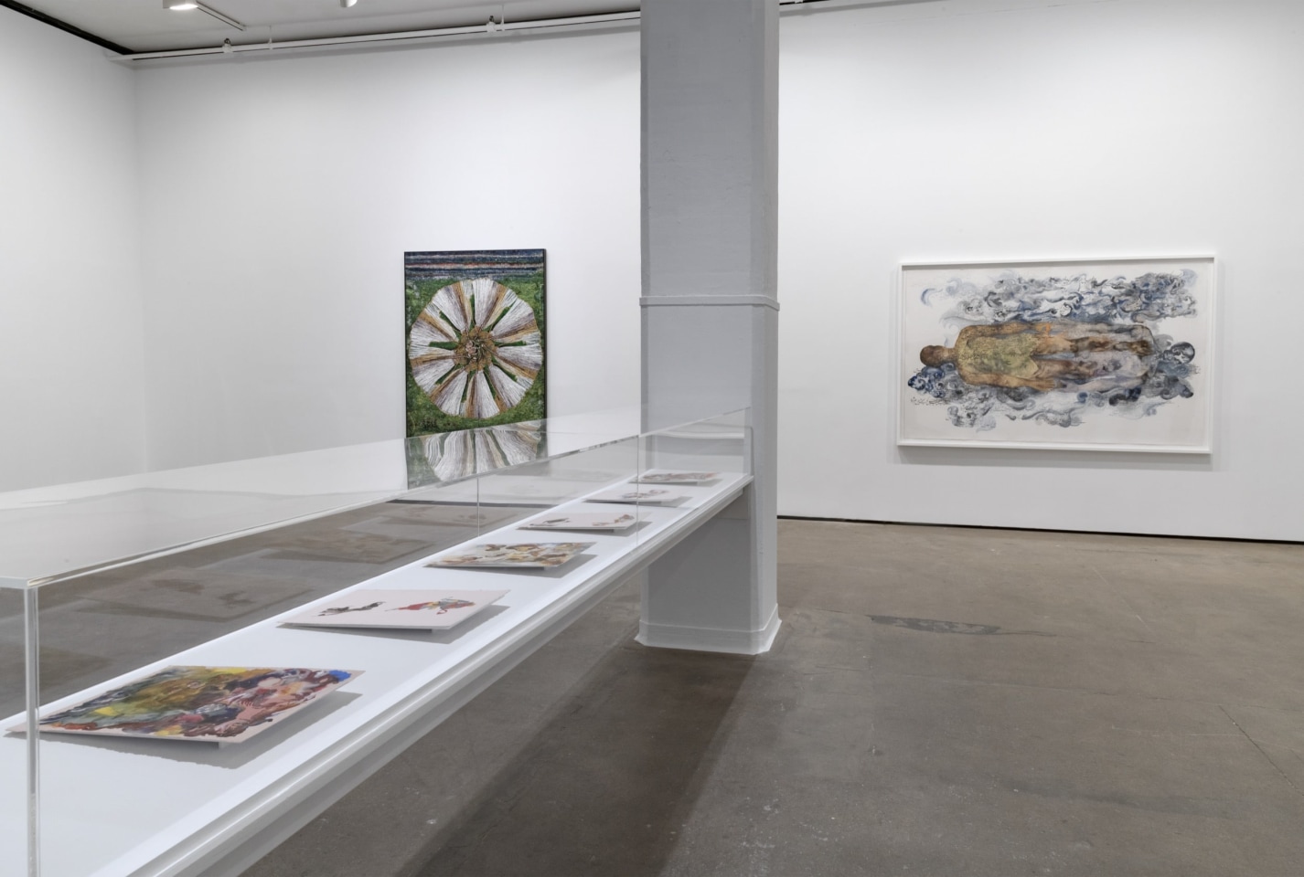 Installation view of Shahzia Sikander: Weeping Willows, Liquid Tongues at Sean Kelly, New York