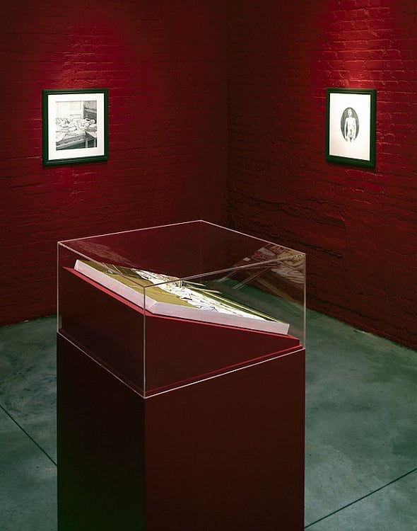 Julie Roberts Sean Kelly Gallery