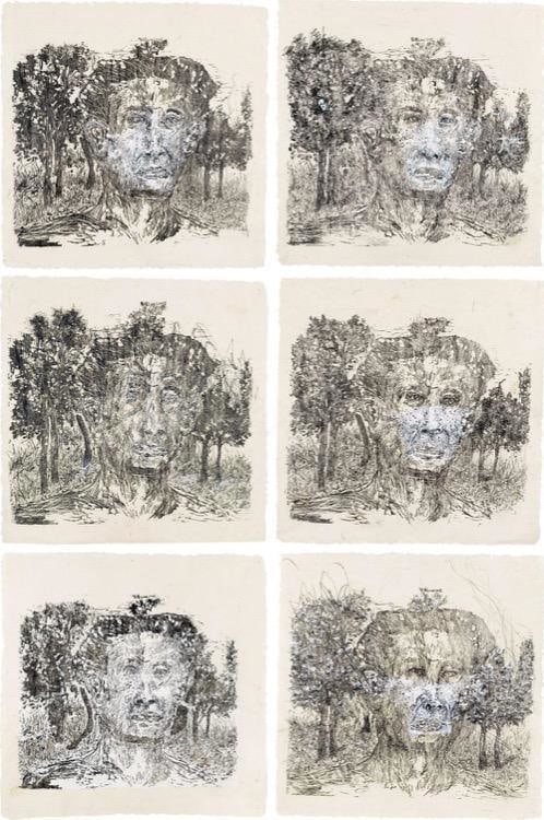 Liu Wei Sean Kelly Gallery