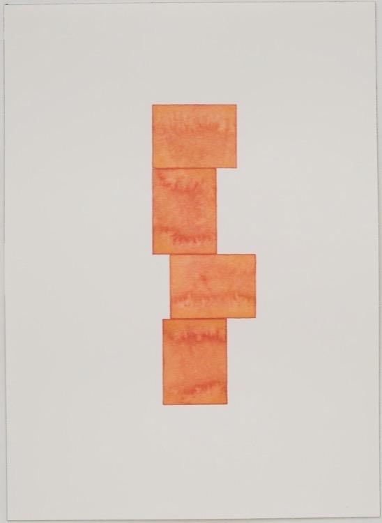 Iran do Espirito Santo Sean Kelly Gallery