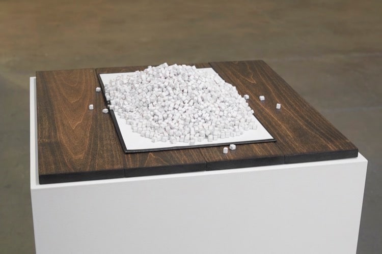 Diana Fonseca Quinones Sean Kelly Gallery