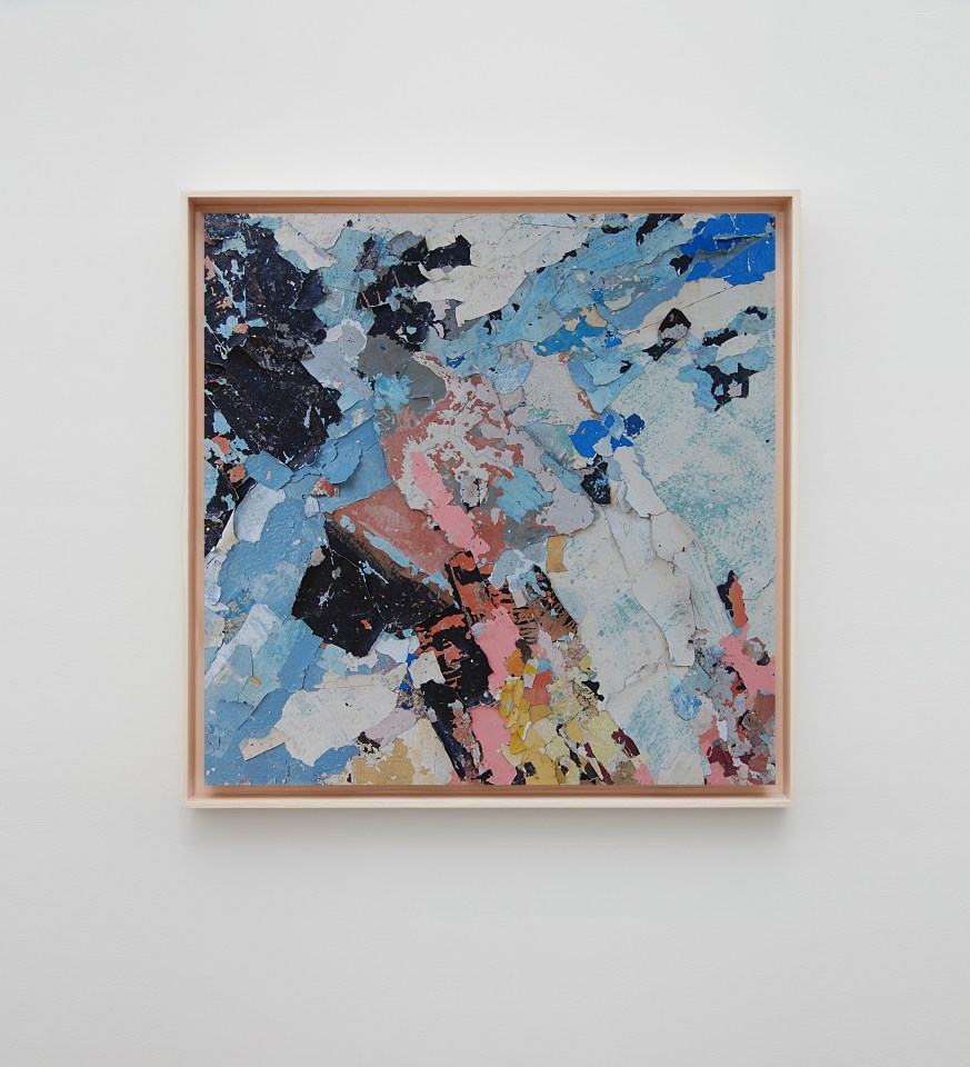 Diana Fonseca Quinones Sean Kelly