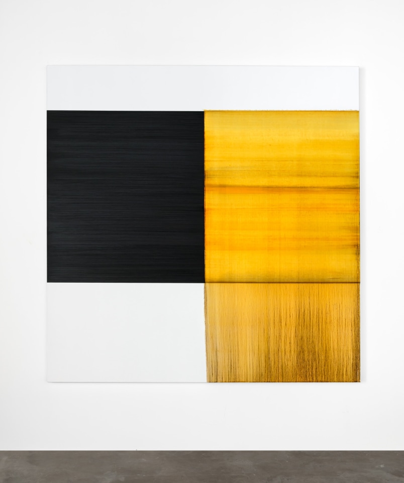 Callum Innes