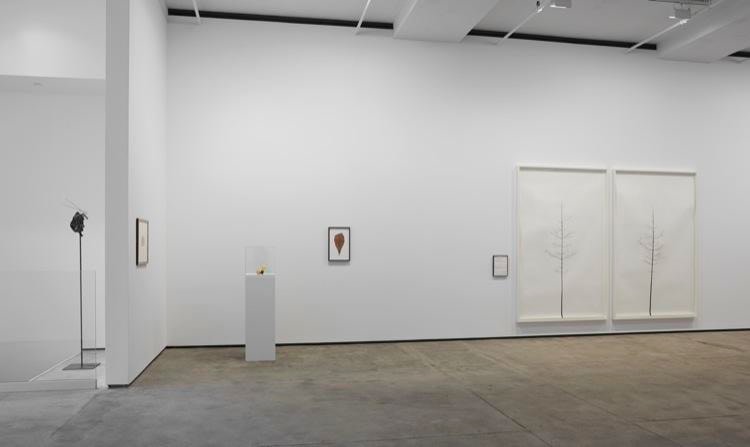 On Nature Sean Kelly Gallery