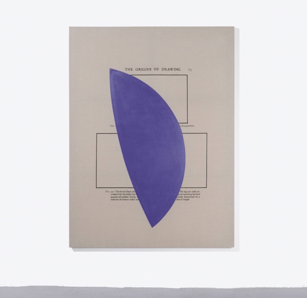 Jose Davila Sean Kelly Gallery