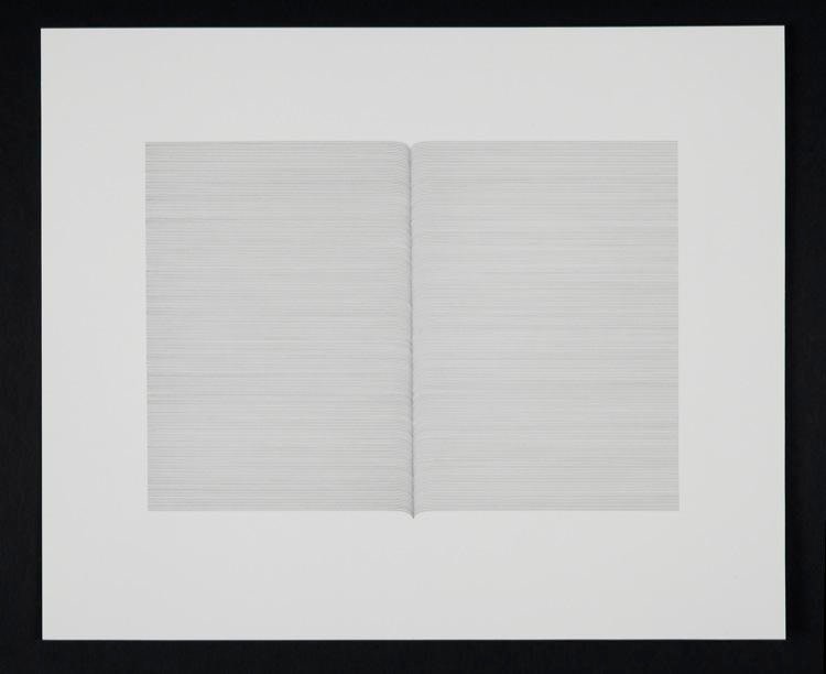 Iran do Espirito Santo Sean Kelly Gallery