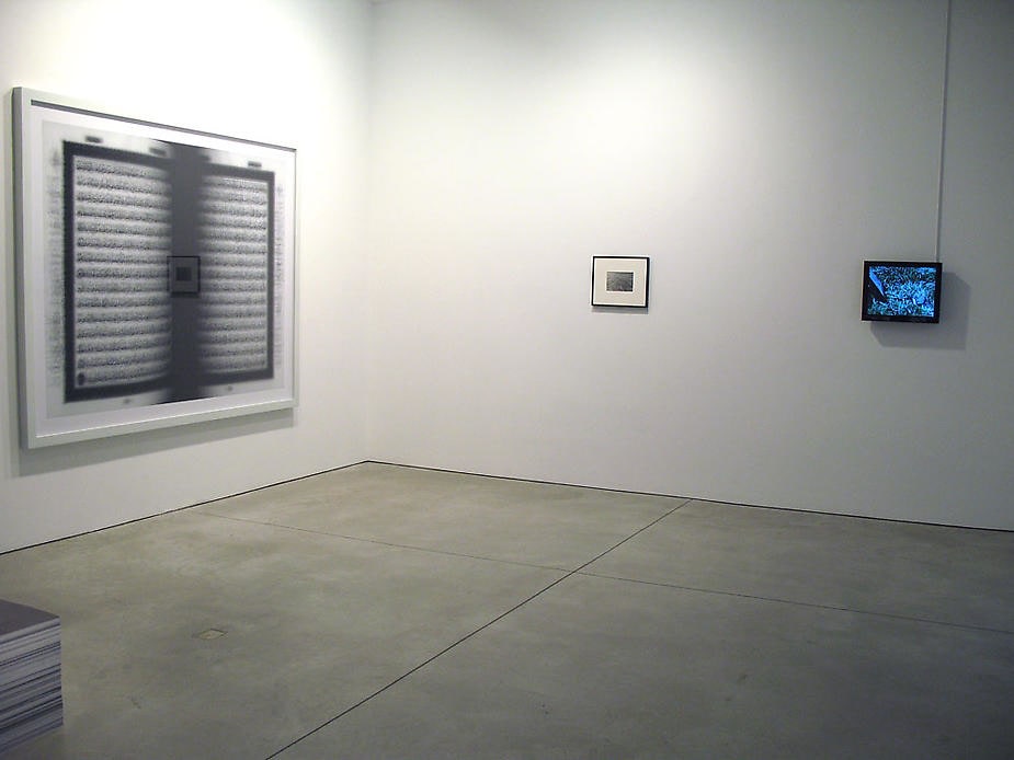 Cancelled, Erased &amp; Removed Sean Kelly Gallery
