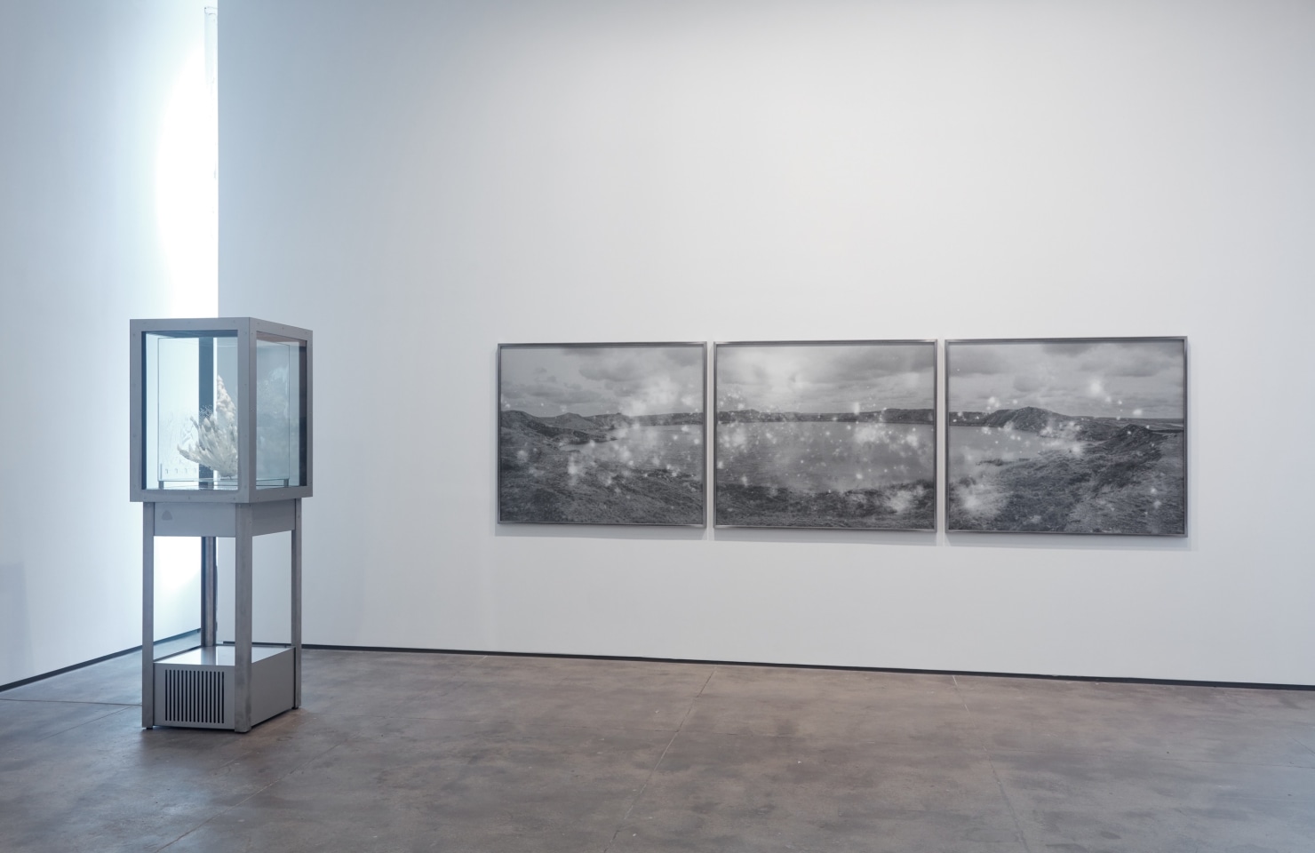 Julian Charriere Sean Kelly Gallery