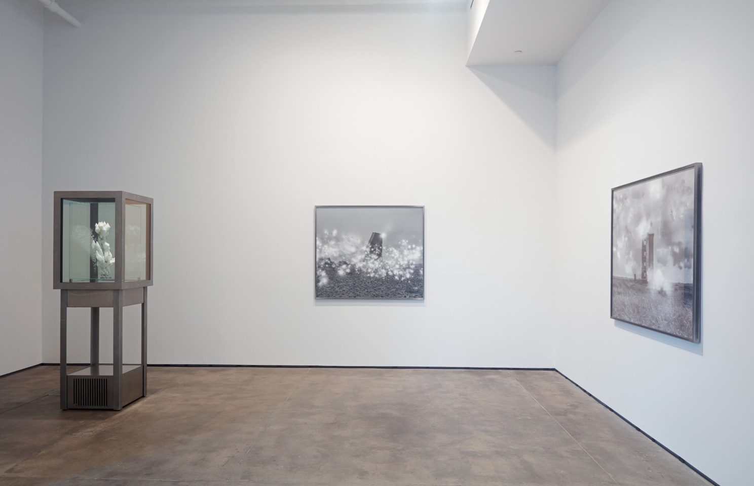 Julian Charriere Sean Kelly Gallery