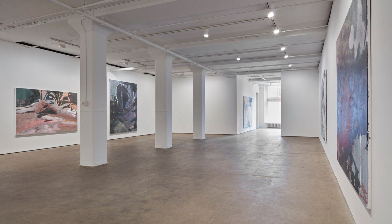 Installation view of&nbsp;Janaina Tsch&auml;pe: HumidGray and ShadowLake&nbsp;at Sean Kelly, New York