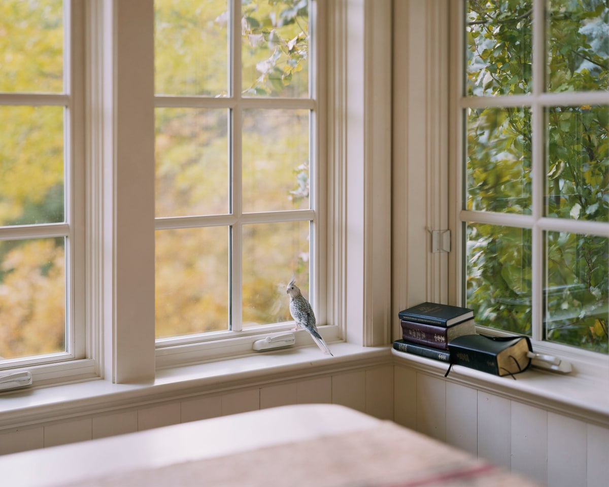 Cammy&#039;s View. Salt Lake City, 2018