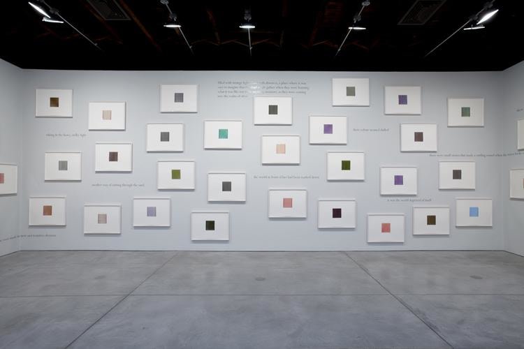 Callum Innes Colm Toibin Sean Kelly Gallery