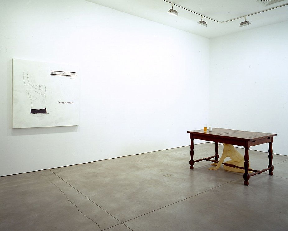 Juliao Sarmento Sean Kelly Gallery