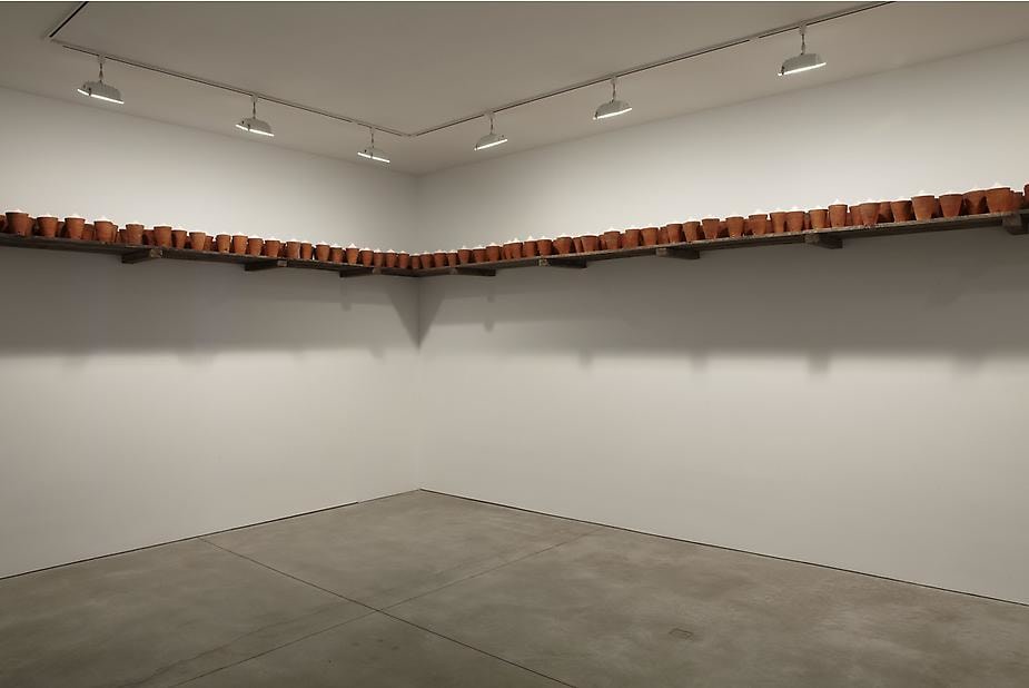 Wolfgang Laib Sean Kelly Gallery