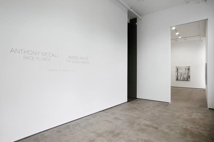 James White Sean Kelly Gallery