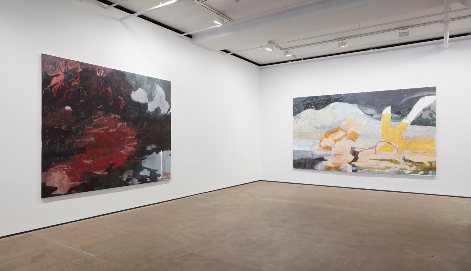Installation view of&nbsp;Janaina Tsch&auml;pe: HumidGray and ShadowLake&nbsp;at Sean Kelly, New York