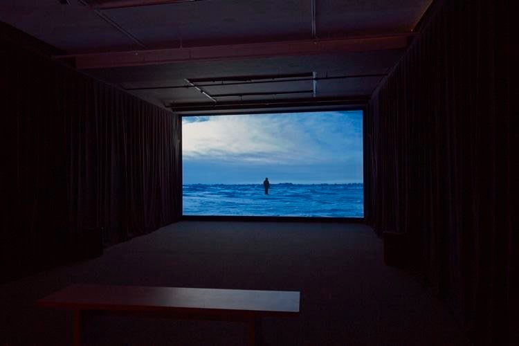 On Nature Sean Kelly Gallery