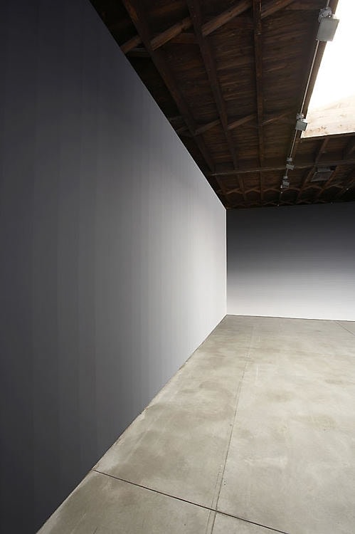 Iran do Espirito Santo Sean Kelly Gallery