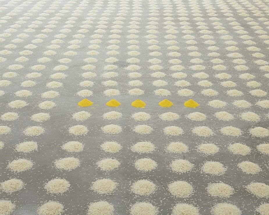 Wolfgang Laib Sean Kelly Gallery
