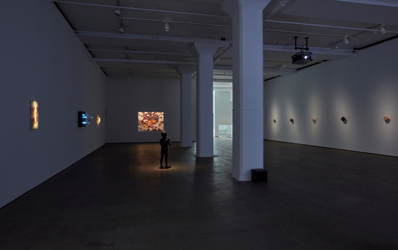Installation view of Laurent Grasso: OttO at Sean Kelly, New York
