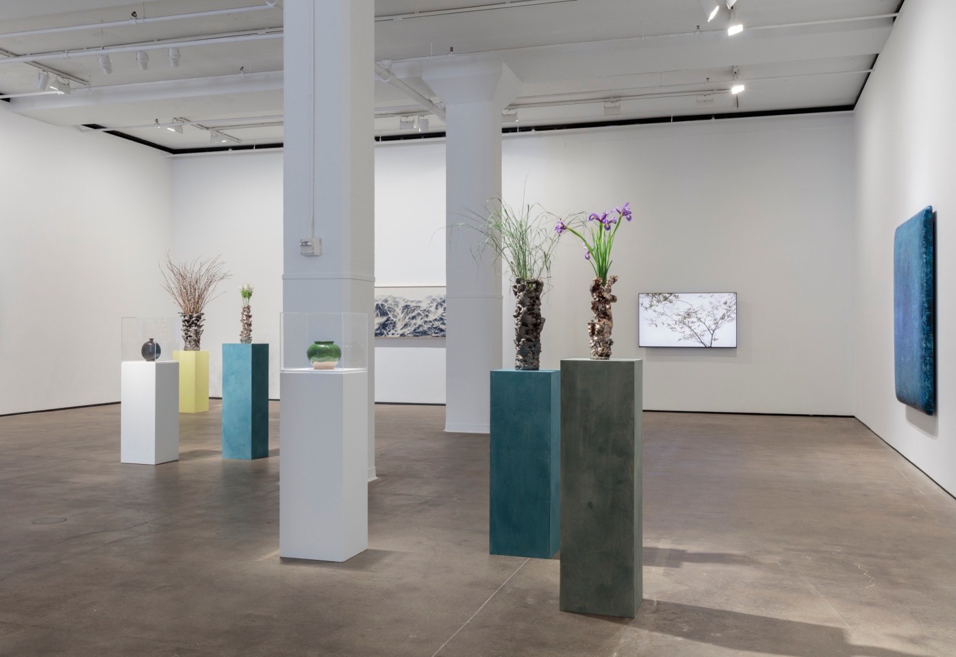 Installation view of&nbsp;Abstract by Nature&nbsp;at Sean Kelly, New York, June 28 - August 2, 2019