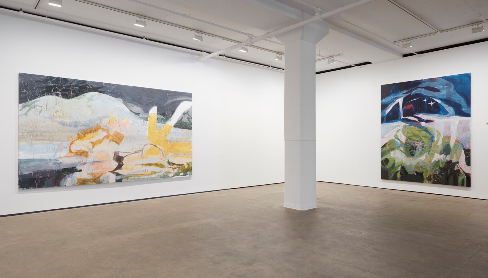 Installation view of&nbsp;Janaina Tsch&auml;pe: HumidGray and ShadowLake&nbsp;at Sean Kelly, New York