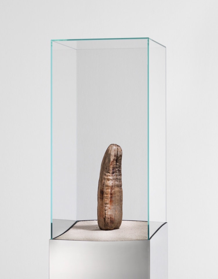 Julian Charrière Sean Kelly