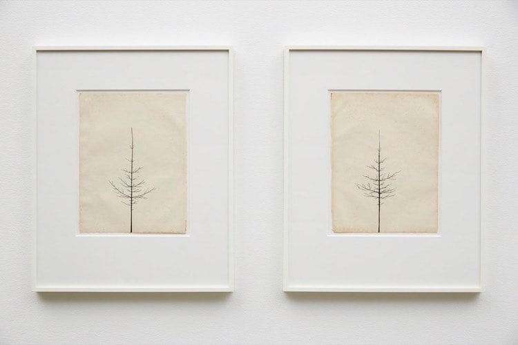 Peter Liversidge Sean Kelly Gallery