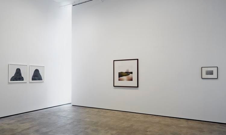 On Nature Sean Kelly Gallery