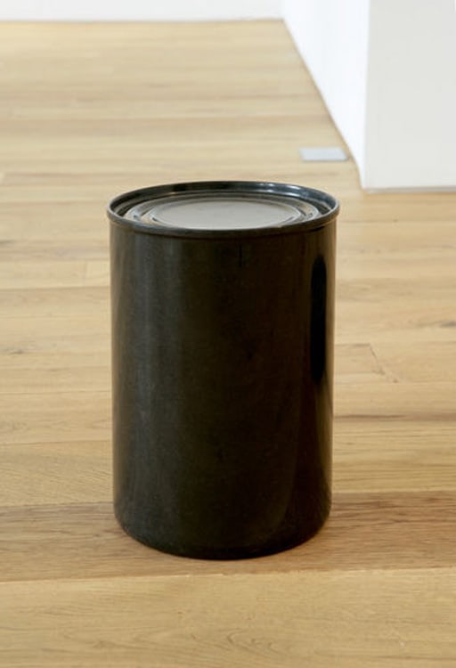 Iran do Espirito Santo Sean Kelly Gallery